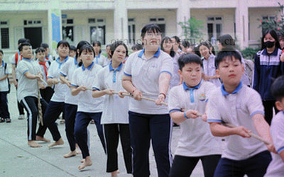 足球场线条抽象图与数据网格叠加